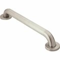 Moen 18 in. Peened Grab Bar 842